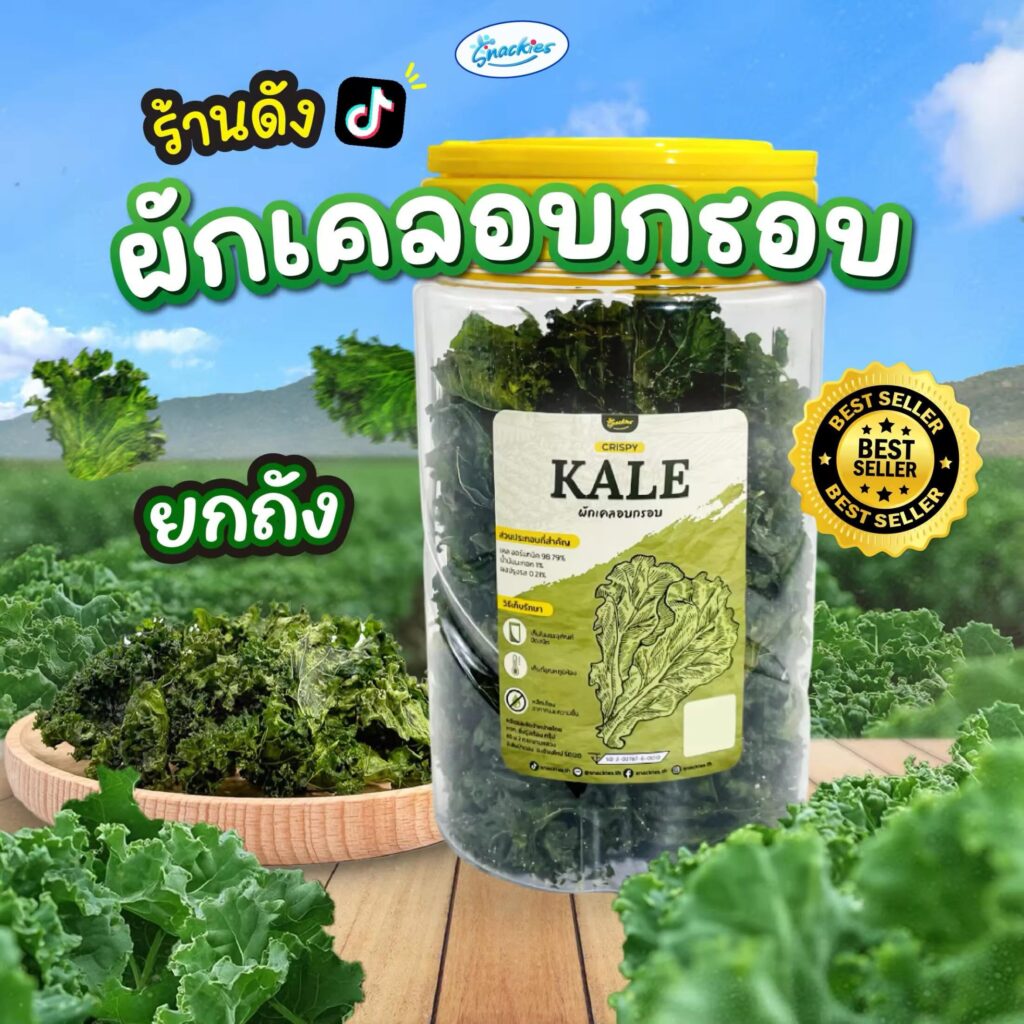 Snackies有機羽衣甘藍脆脆